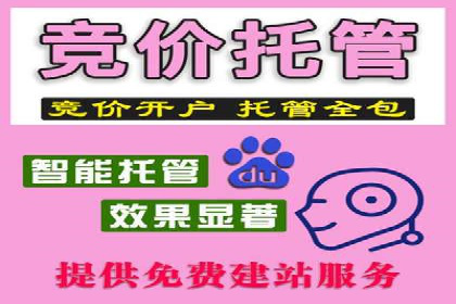 百度网络推广案例分享：低成本打造爆款品牌，助力企业腾飞
